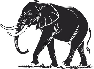 elephant isolated on white background 