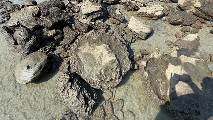 Expansive View of a Rugged Rocky Shoreline at Low Tide Meeting the Calm Blue Water and Clear Horizon on a Sunny Day.