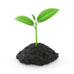 Fresh sprout emerging from dark soil.