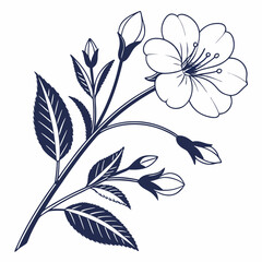 black and white flowers