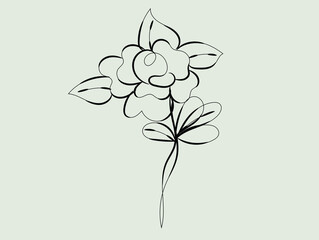 Elegant Black Line Art Flower Design Illustration