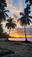 Obraz premium Serene Sunset Over Tropical Beach with Tall Palm Trees