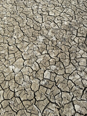 Cracks on dried earth in a natural landscape during drought or climate change, textured surface of soil with dry cracks in sunlight