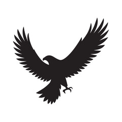 eagle on white background