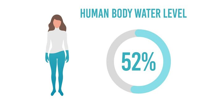Water Percentage in Women Human Body