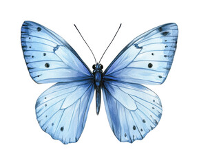 Fototapeta premium Watercolor blue butterfly with intricate patterns on wings, cut out - stock png.