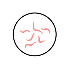 Worm parasites icon
