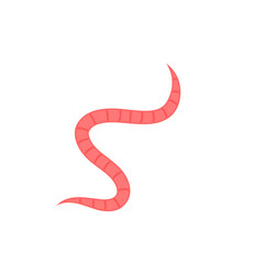 Intestinal Parasitic Worm Icon 