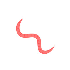 Intestinal Parasitic Worm Icon 