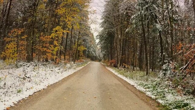 USA, New England, Vermont, 4x4 driving along old CCC (Civilian Conservation Corps) dirt road, running between North Shrewsbury and Route 100. Trees in late fall colors line the snowy road.