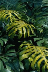 Monstera leaves in the jungle, close-up, photorealistic, dark green and light yellow, high