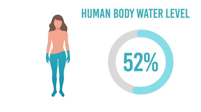Water Level in Human Body on white and green screen Background
