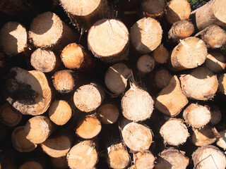 logs close background and texture abstraction