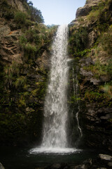 Fototapeta premium Tall, vertical waterfall cascading down a steep cliff covered with moss and greenery. The water flow is frozen mid-air, showcasing nature’s raw power and elegance. Ideal for concepts of freshness and 