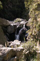 Close-up of a mountain stream flowing between large rocks in a rocky ravine. Water movement and textures are highlighted in natural lighting. A vivid detail of unspoiled wilderness.