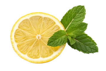 Fresh lemon slice with green mint leaves for culinary use and beverage garnishing