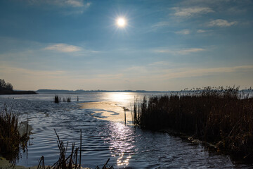 Reed against the harsh light of the sun ove the lake. Photo taken in natural lighting in the middle of sunny day.