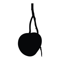  mango silhouette vector