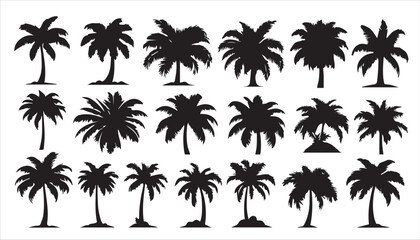 Fototapeta premium A group of palm trees