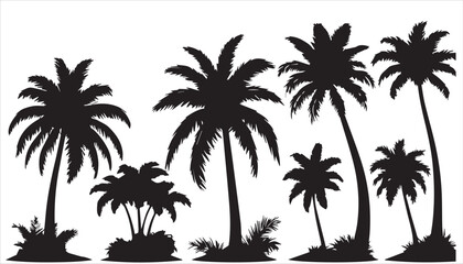 Obraz premium A group of palm trees