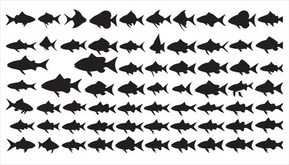 Fototapeta premium A group of fish silhouettes