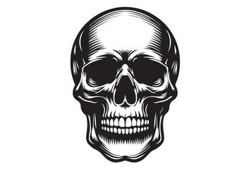 skull head silhouette logo vector, skull logo icon silhouette, human skull death silhouette vector, black human skull head silhouette vector illustration on white background	
