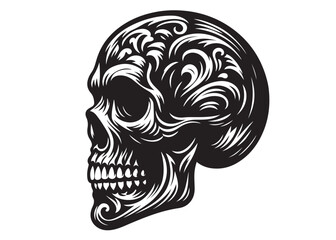skull head silhouette logo vector, skull logo icon silhouette, human skull death silhouette vector, black human skull head silhouette vector illustration on white background	
