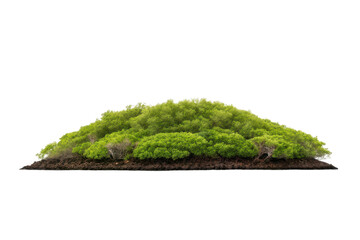 Fototapeta premium Lush green hill of mangrove trees perfect for nature-themed designs and eco-friendly projects