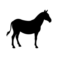 Horse silhouette vector image equine animal illustration design graphic template artwork mammal
