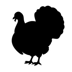 Turkey silhouette vector graphic for thanksgiving day and autumn holiday designs and decorations