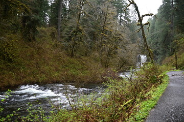 Upper north Falls and Silver creek river at Silver Falls state park, Oregon