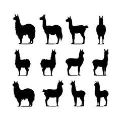 Alpaca silhouette setclipart on a white background