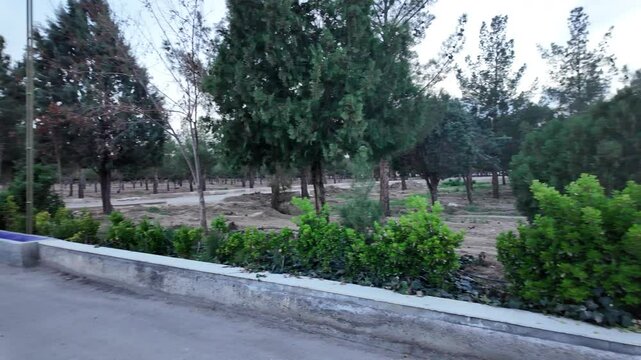 View of the Iranian Garden of Damghan
