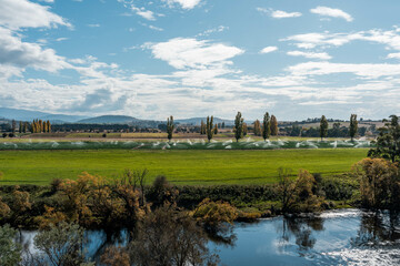 farm growing vegetables in a field irrigation with water from a river. sprinklers watering and producing food on a farm in australia