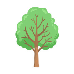 Tree: The Natural Giant and Oxygen Provider