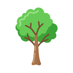 Tree: The Natural Giant and Oxygen Provider