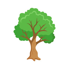 Obraz premium Tree: The Natural Giant and Oxygen Provider