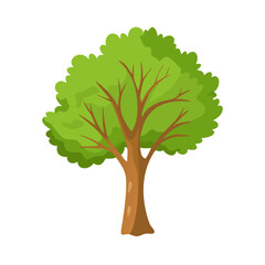 Tree: The Natural Giant and Oxygen Provider