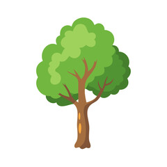 Tree: The Natural Giant and Oxygen Provider