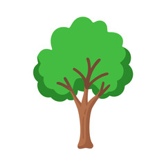 Tree: The Natural Giant and Oxygen Provider