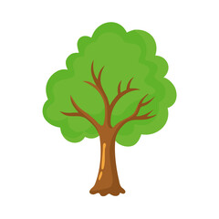 Tree: The Natural Giant and Oxygen Provider