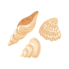 Seashells simple vector illustration. Three beige  seashells on a white background. Perfect for summer cards, beach, marine design, and vacation themed designs. Flat illustration set.