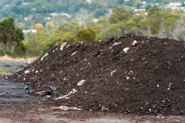 turning a compost windrow pile in a community garden. compost full of microorganisms. sustainable...