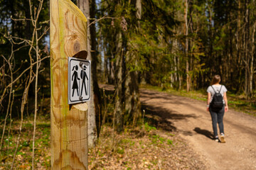 Hiking Trail Sign Along Forest Path.  Wooden trail marker with hiking sign beside a natural forest...