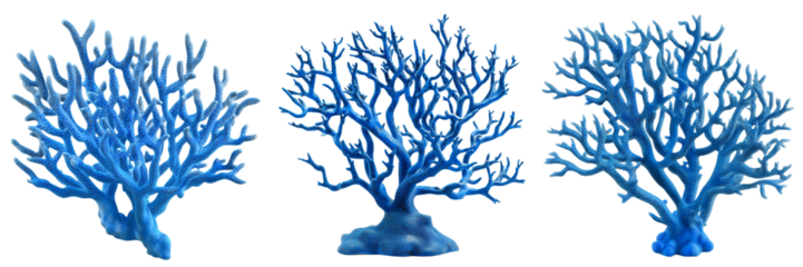 A vibrant blue coral with intricate branches, isolated on a transparent background