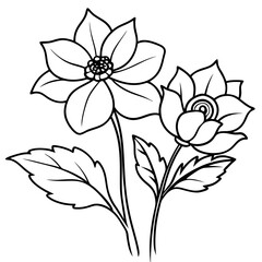 Obraz premium Minimalist Anemone Flower Composition
