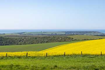 A view over agricultural fields in the South Downs, with the Sussex coast beyond
