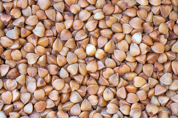 Close-up of raw buckwheat grains, showcasing their natural texture and earthy color. Ideal for concepts related to healthy eating, organic food, grains, and plant-based nutrition.