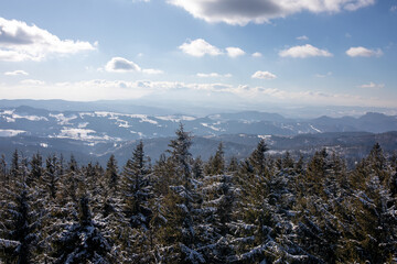 Widok z wieży widokowej na Radziejowej Najwyższy szczyt Beskidu Sądeckiego. Beskid Sądecki. Radziejowa. Korona Gór Polski.