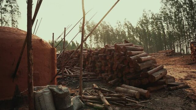Carbon production in kilns, with cut and stacked wood.
